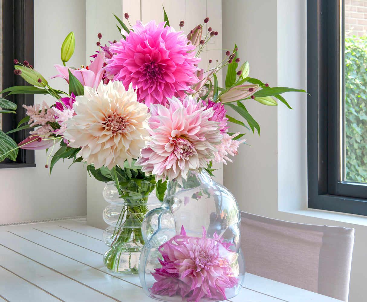 Mixed Dahlia - Café Bloom