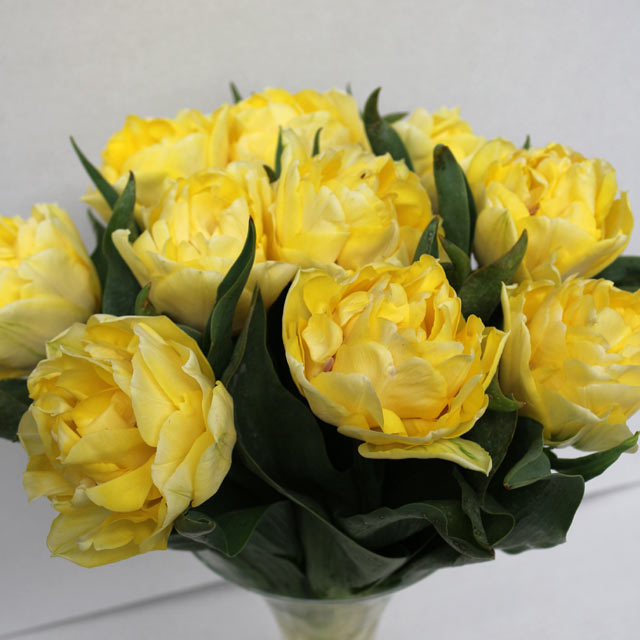 Tulip Secret Perfume