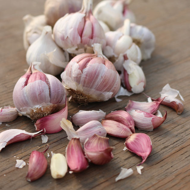 Garlic Spanish Roja