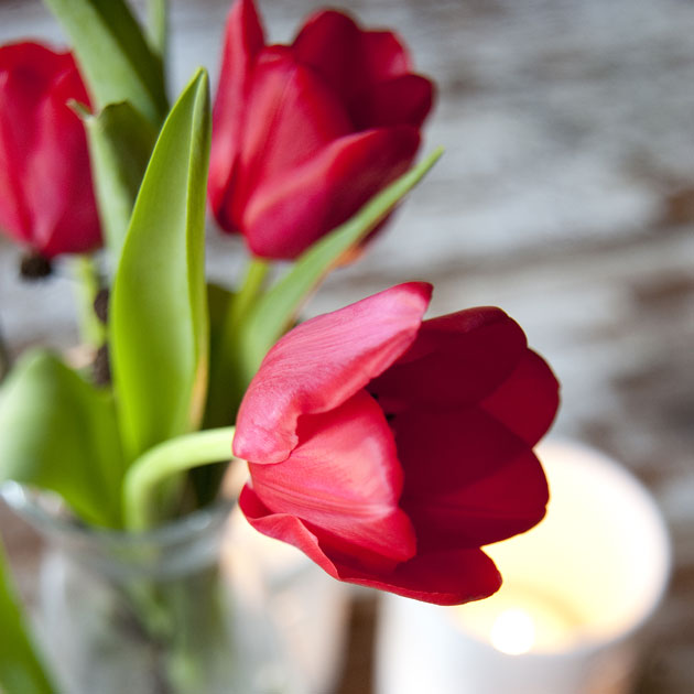 Value Red Tulips