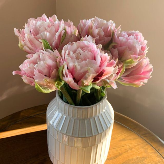 Tulip Magic Sensation