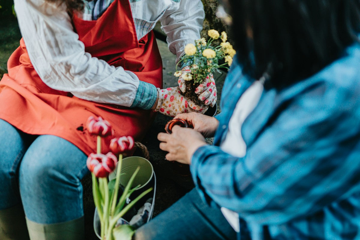 Coast Farms Reaches 50+ Planting Guides for Canadian Gardeners