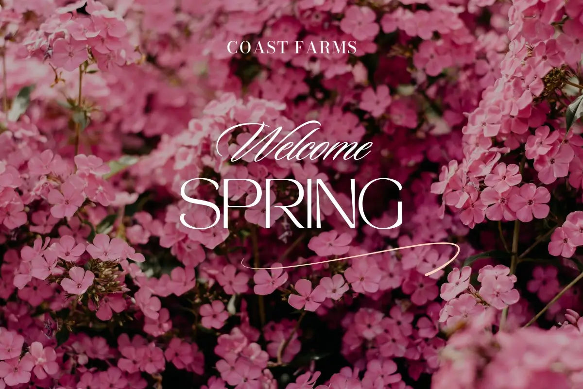We Hit 200 Spring Pre-Orders This Month