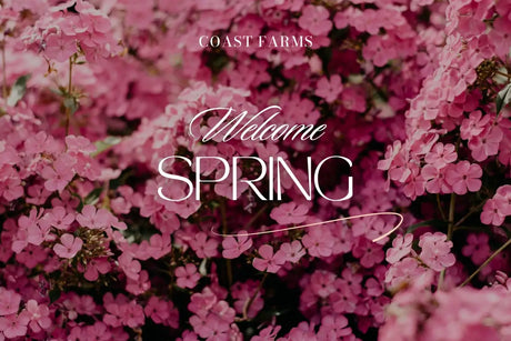 We Hit 200 Spring Pre-Orders This Month
