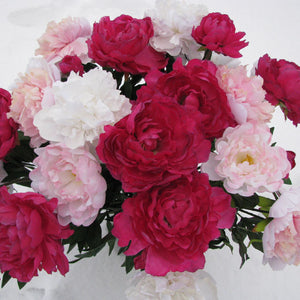 Peonies