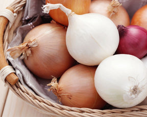 Mixed Onion Sets
