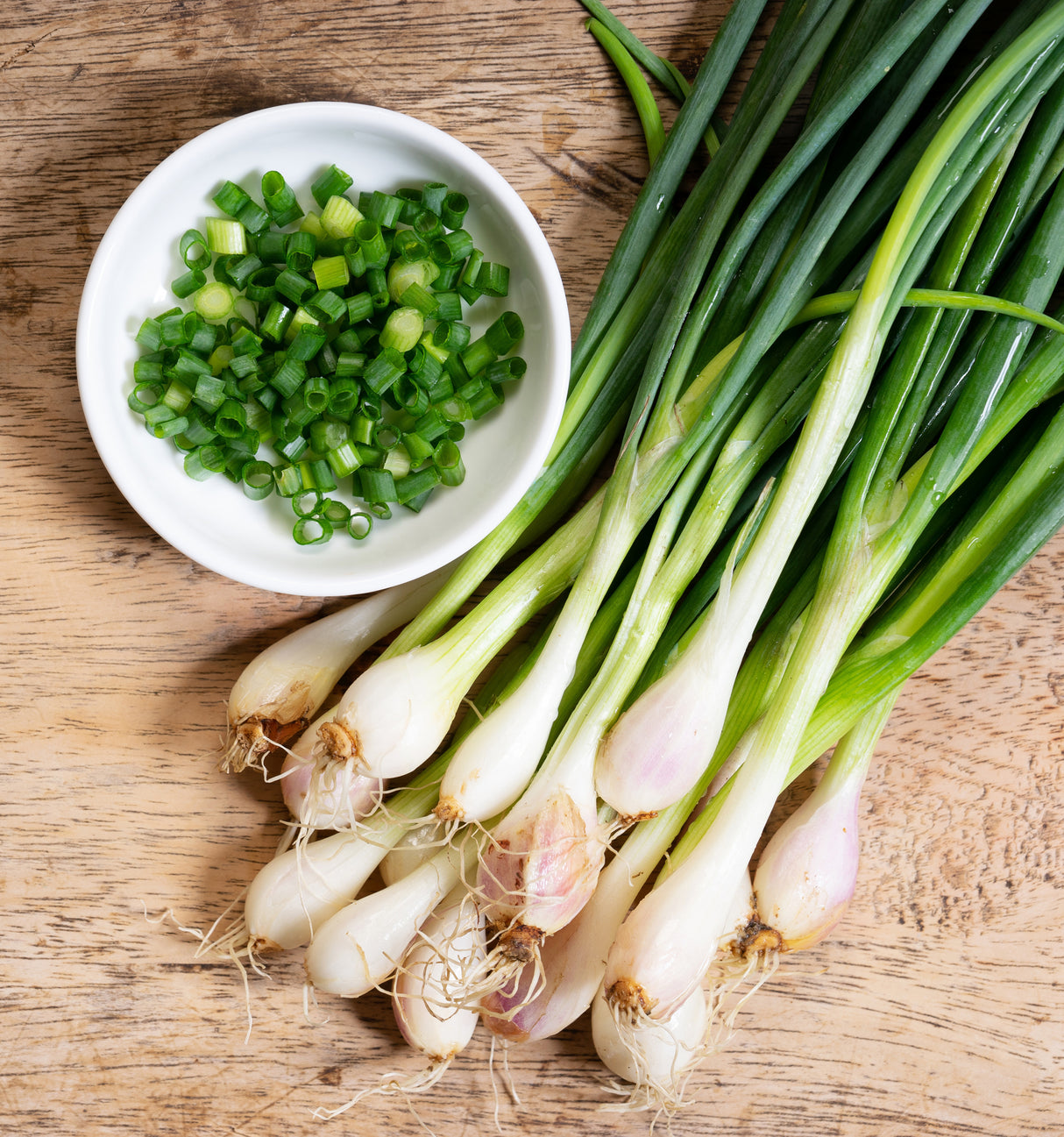 Scallions - Onion Sets