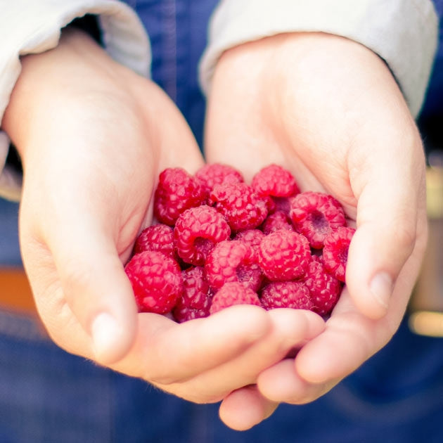 Raspberry Boyne