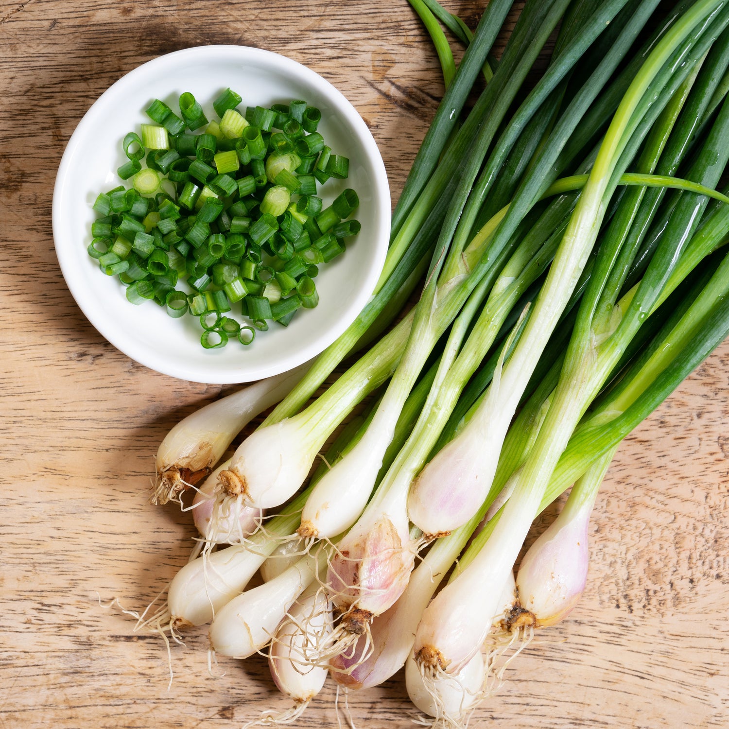 Scallions - Onion Sets
