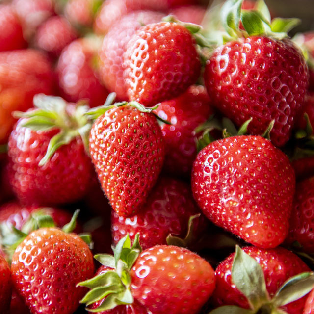 Strawberry Albion